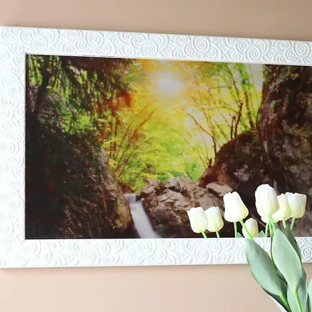 Charming Gea Guest house