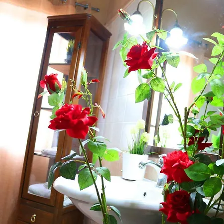 Charming Gea Maison d'hôtes San Felice a Cancello
